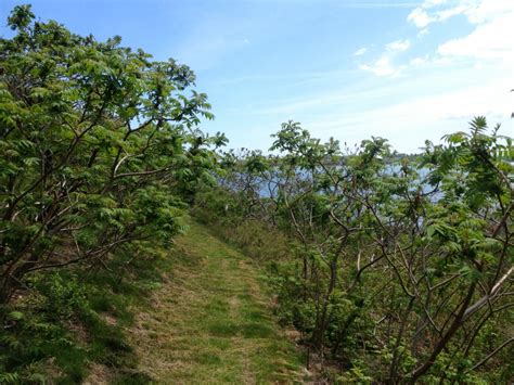 Bumpkin Island - Boston Harbor BeaconBoston Harbor Beacon