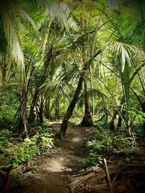 Hiking to Astonishing Beaches of Parque Tayrona