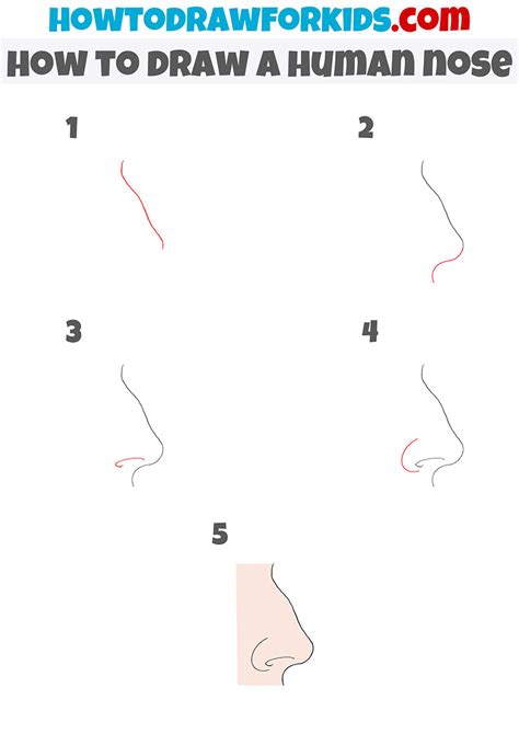 How To Draw A Nose For Kids