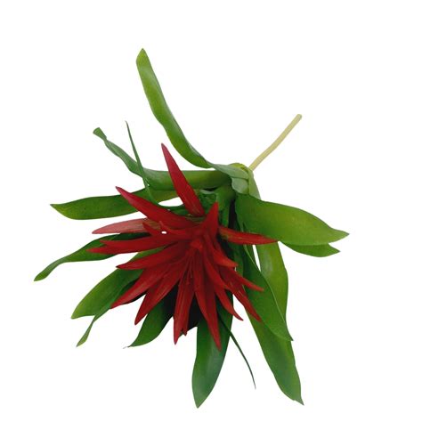 Bromélia Mini Planta Artificial 25cm Vermelho Nature Flores