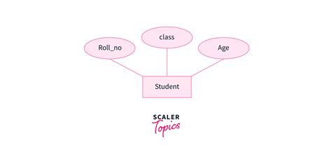 Types Of Attributes In Dbms Scaler Topics