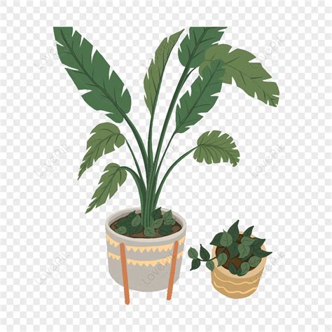 Hand Drawn Plant Leaf Plant Vector Flower Plant Plant Pot PNG White