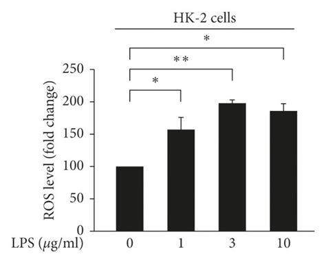 Lps Induced Ros Accumulation A Hk Cells Were Treated With Either