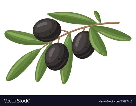 Cartoon black olives branch olive tree Royalty Free Vector