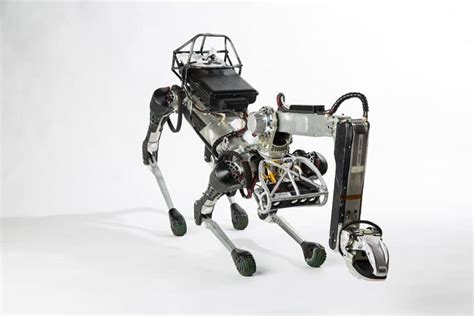 Boston Dynamics Robot Dog / The Creepy Robot Dog Botched A Test Run ...