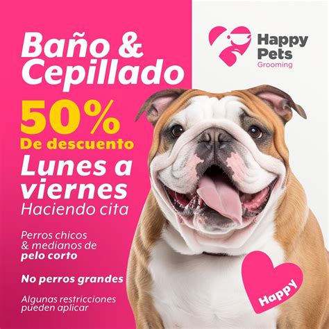 el paso pets craigslist 8