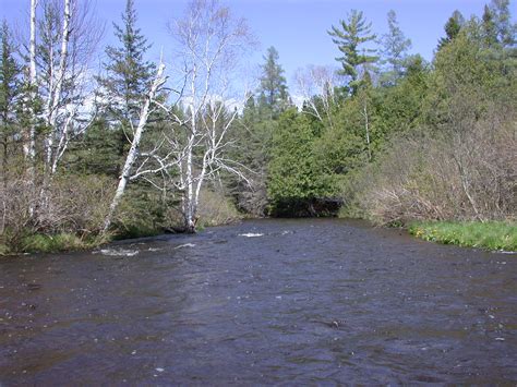 Pigeon River - Tip of the Mitt Watershed Council