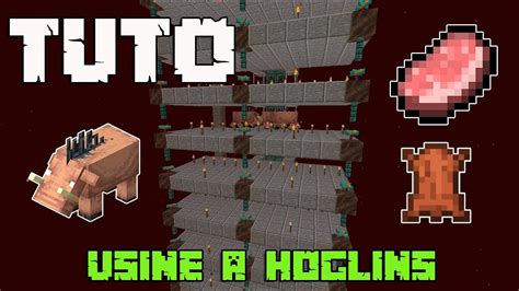 Tuto Usine Hoglins Nourriture Et Cuir Infini Auto Facile Et