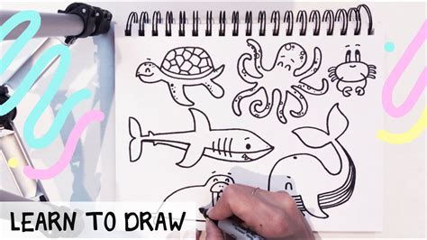 How To Draw A Ocean Animals