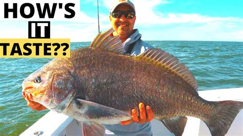 Cooking Black Drum From Gross To Great Youtube