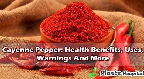 Cayenne Pepper Health Benefits Uses Warnings And More