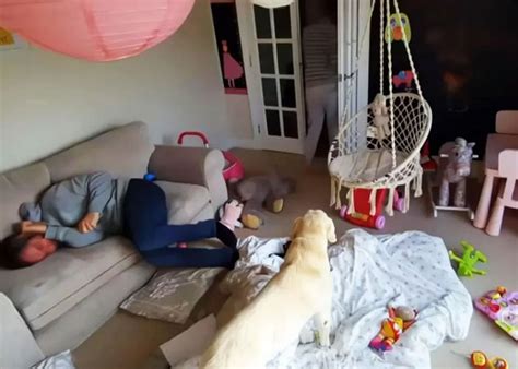 “My Wife, My Abuser” Documentary Shows Decades Of Abuse In Devastating