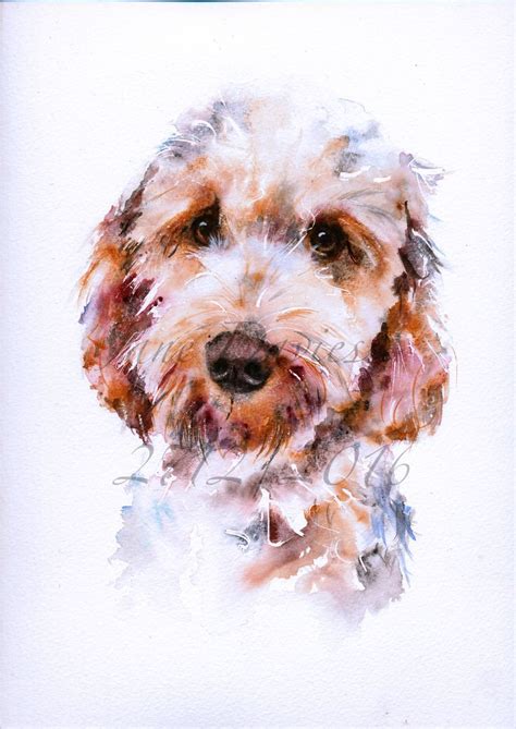 Pet Portrait Of A Cockerpoo Painted By Artist Jane Davies Watercolor