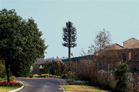 The Largest Man-Made Forest in the World by Hans Wilschut (Works That ...