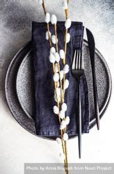 Table Setting For Easter Dinner With Pussy Willow On Navy Napkin Free Photo R Zap Noun