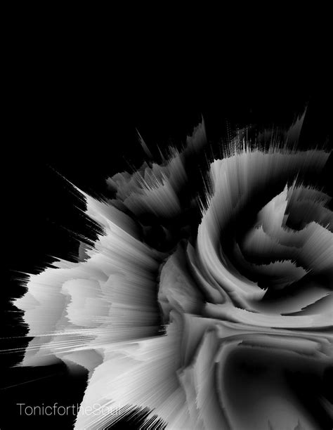 Black and White Rose, Digital Art Print, Modern Art, Home Decor - Etsy