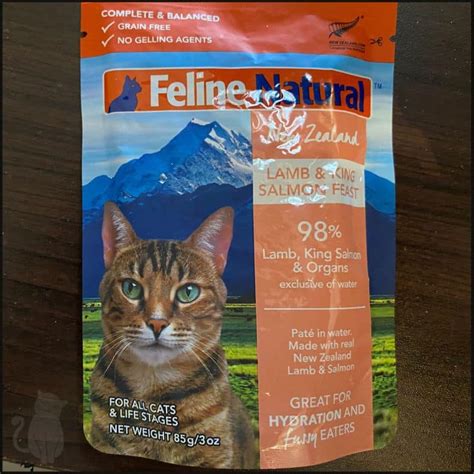 5 Best Cat Food With No Recalls You Can Trust [2024]