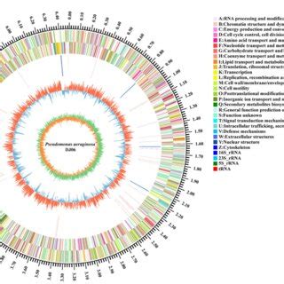 Figure Circular Representation Of Chromosome Of Endophytic Bacteria