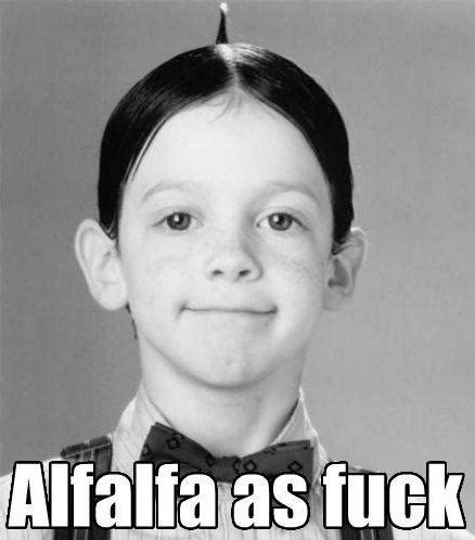 Alfalfa Alpha As Fuck Know Your Meme