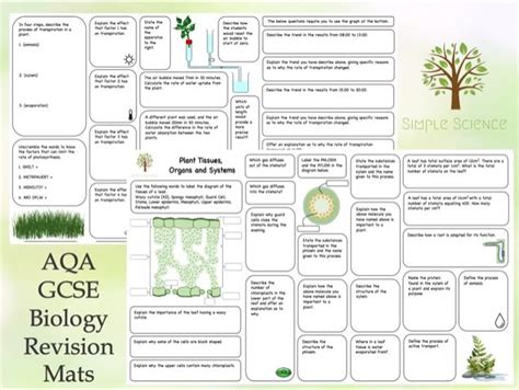 Home Learning - AQA GCSE Combined Science Biology Revision Mat Bundle ... 