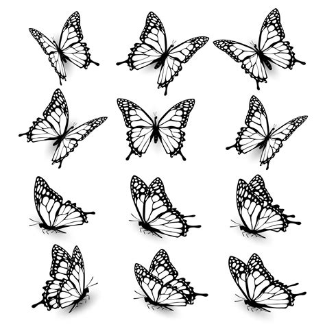 Premium Vector Collection Of Butterflies Flying In Different