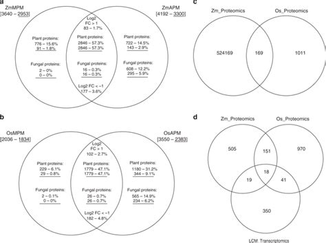 A Rice Serine Threonine Receptor Like Kinase Regulates Arbuscular