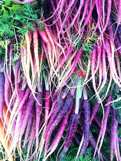 Rainbow Carrot And Ricotta Tart