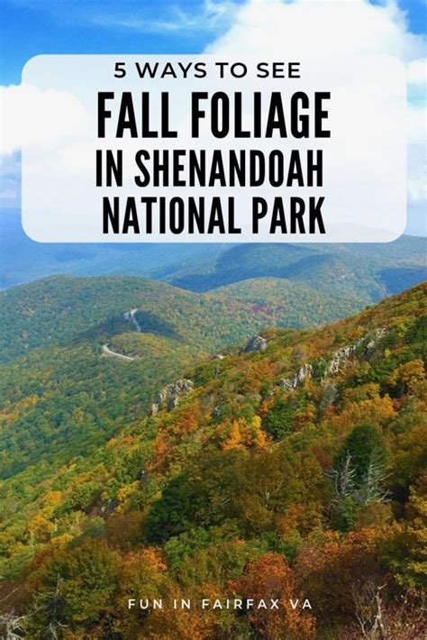 5 Ways to Enjoy Fall Foliage in Shenandoah National Park