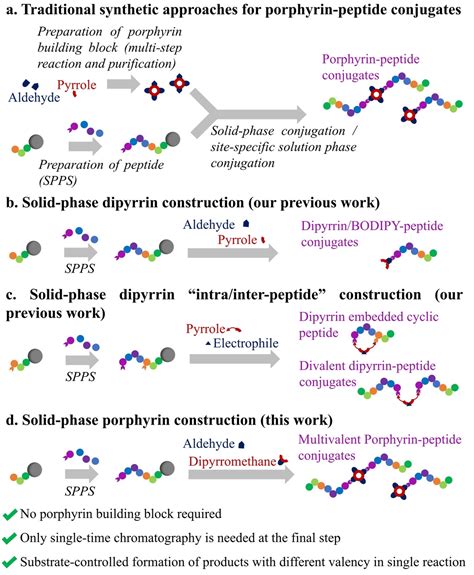 Versatile Synthesis Of Multivalent Porphyrinpeptide Conjugates By