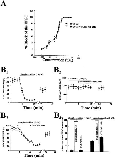 Cgrp Reduces The Epsc By Inhibiting An Sp Endopeptidase A