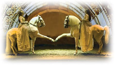 CAVALIA - Couturing.com