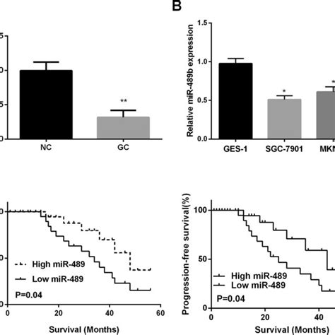 Reduce Expression Of MiR 489 In GC Is Associated With Poor Prognosis A