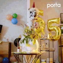 Cute Party GIF - Cute Party Celebration - Discover & Share GIFs