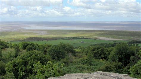 In pictures: Morecambe Bay life | Morecambe, Nature reserve, Bay