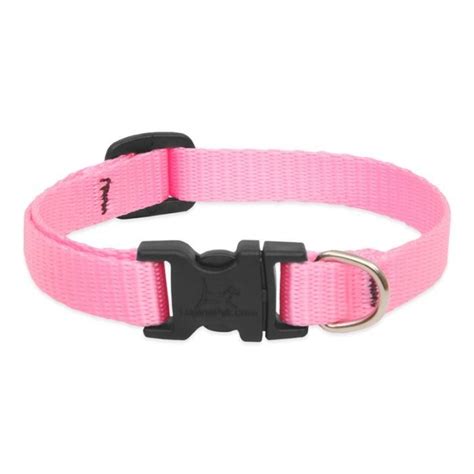 Collar Para Perro Con Broche PINK Comprar En Busmark