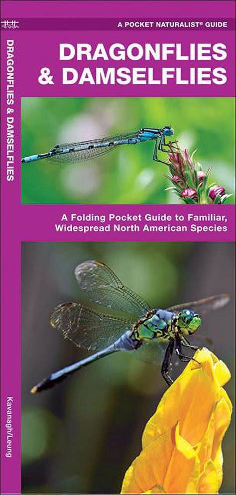 Wildlife And Nature Identification Dragonflies And Damselflies A