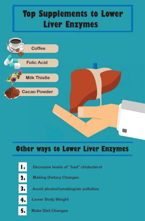 Best Supplements To Lower Liver Enzymes - Fatty Liver Disease