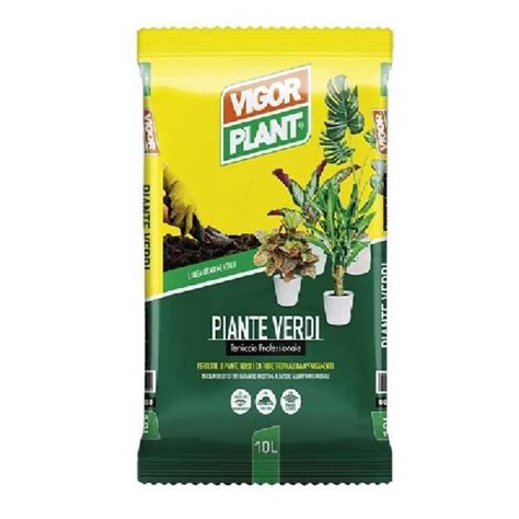 Piante Verdi 10LT Vigorplant