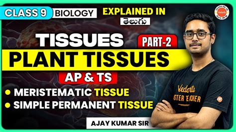 Tissues Plant Tissue Class 9 Biology Part 2 Of Tissues Ssc 2024 Ajay Sir Youtube