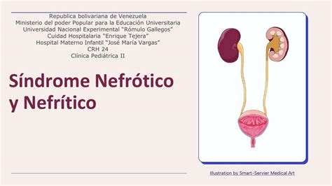 Sindrome Nefrotico Y Nefritico Cesar UDocz