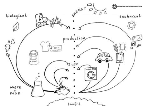 Butterfly Diagram Understand Circular Flows 2014 Download