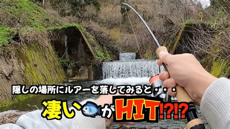 渓流ルアーとある隠しの場所ですんごい奴が釣れた渓流ルアー 釣り fishing YouTube