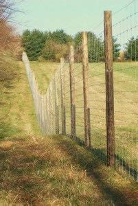 Deer Fence Installation & Design in Harrisburg, PA & Surrounding Areas