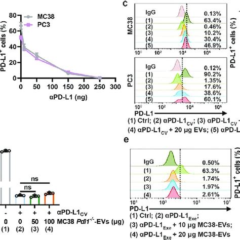 Pdf Tumor Extracellular Vesicles Mediate Anti Pd L1 Therapy