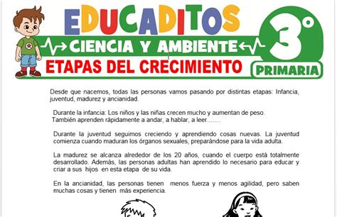 El Sistema Respiratorio Y Sus Partes Para Tercero De Primaria