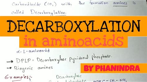 Decarboxylation of Aminoacids | Aminoacids metabolism - YouTube