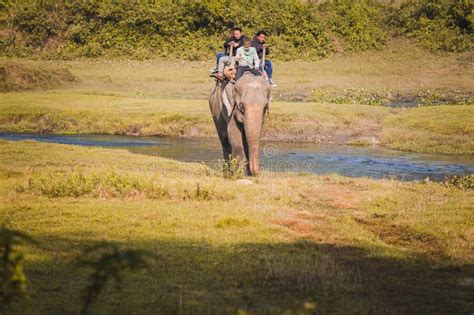 Elephant Jungle Safari at Chitwan National Park Nepal Editorial Stock ...