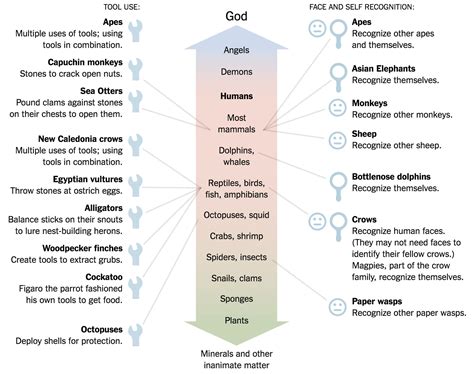 Examples of animal intelligence : r/Physics_AWT