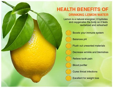 Health Benefits Of Drinking Lemon Water Infographic Herbal Remedies