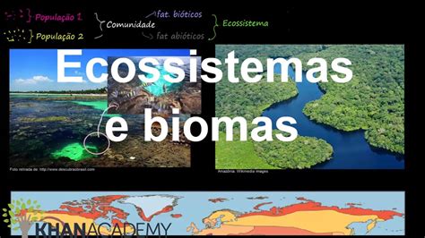 Ecossistemas E Biomas Ecologia Biologia Khan Academy Youtube